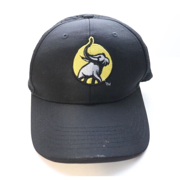 Purdue Fort‎ Wayne Performing Arts School Hat Baseball Cap Black Mesh Adjustable - Picture 1 of 6